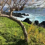 Casa Picobello 펜션 Calheta de Nesquim