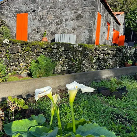 Casa Picobello Semesterbostad Calheta de Nesquim