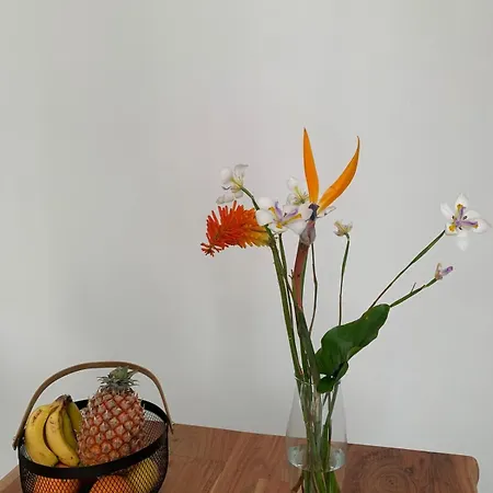 Casa Picobello Semesterbostad