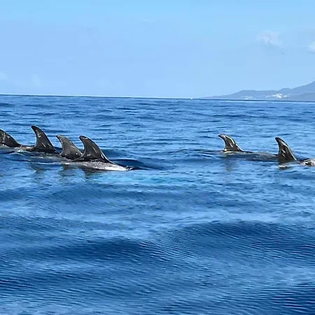 Casa Picobello Semesterbostad Calheta de Nesquim