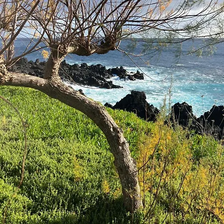 Casa Picobello Semesterbostad Calheta de Nesquim