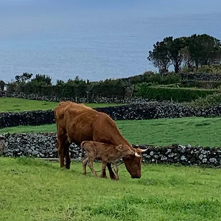 Casa Picobello Semesterbostad *