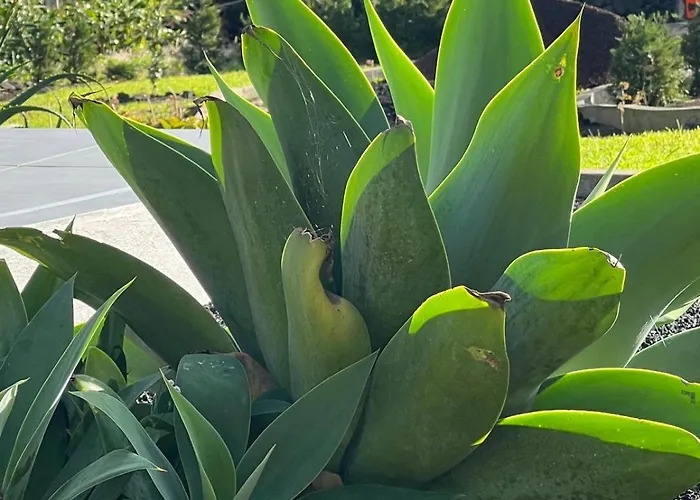 Casa Picobello Casa vacanze *