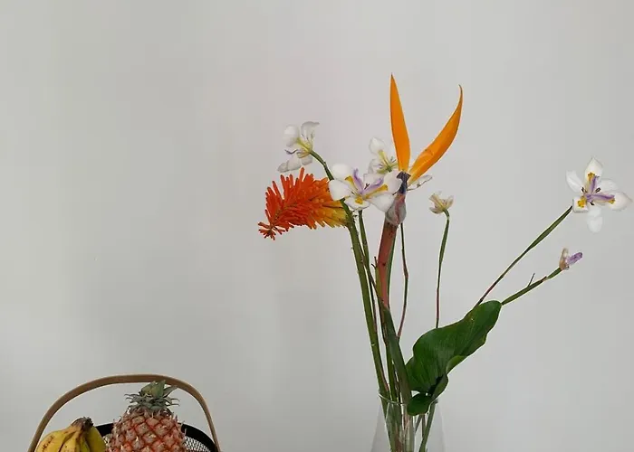 Casa Picobello 度假居