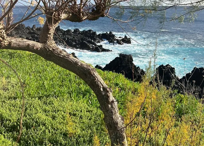 Casa Picobello Дом отдыха Calheta de Nesquim